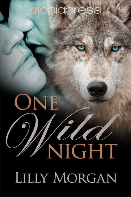 One Wild Night By Lilly Morgan 